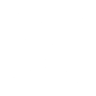 Veterans Max Level 20