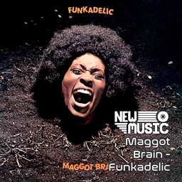 New Music - Maggot Brain - Funkadelic (1971)