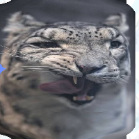 Snep Magnifier preview