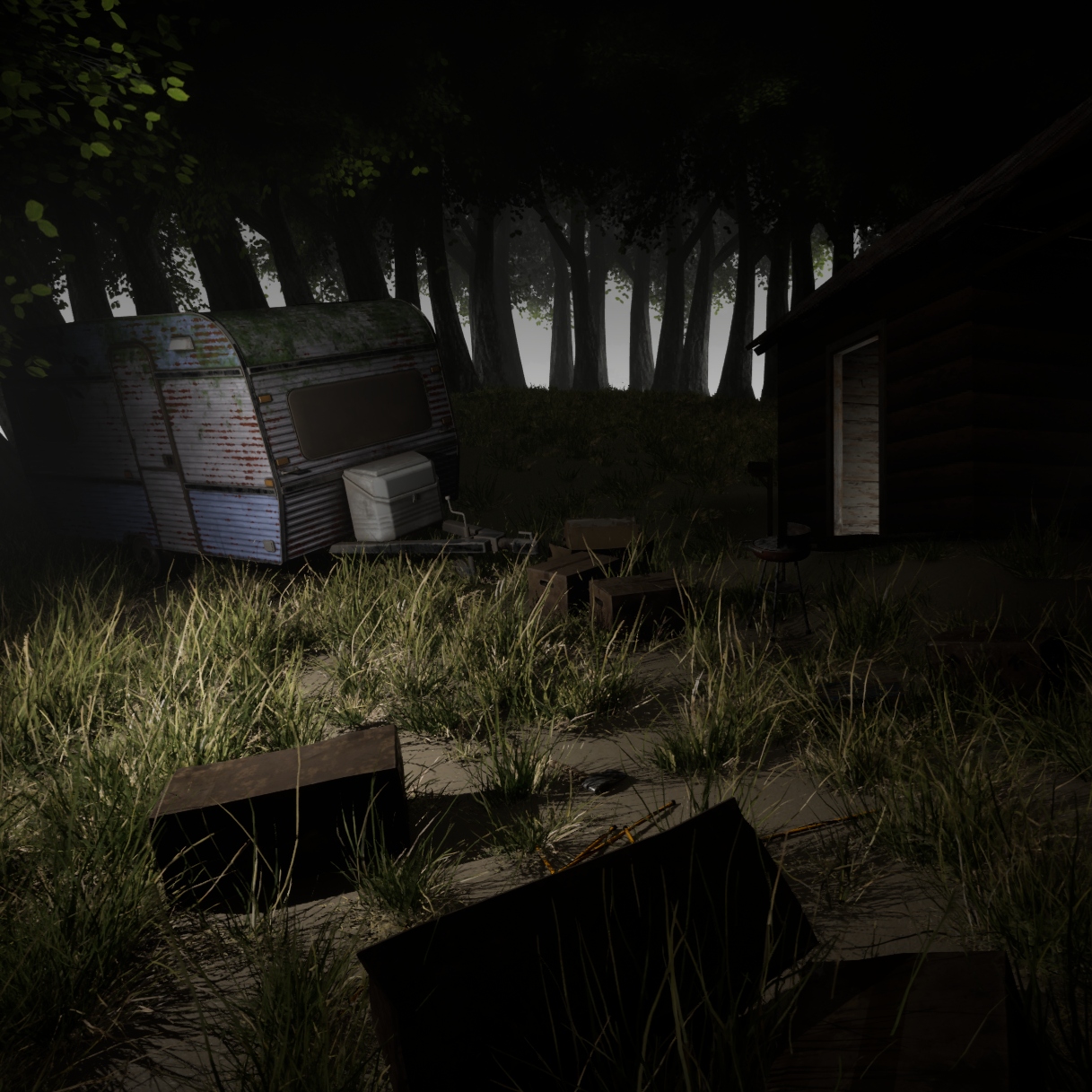 Hiding Wood