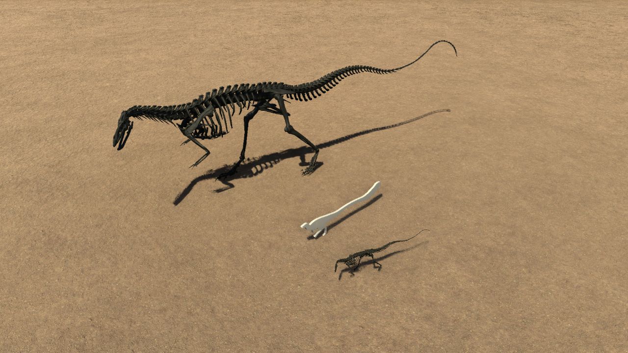 Leaellynasaura Skeleton