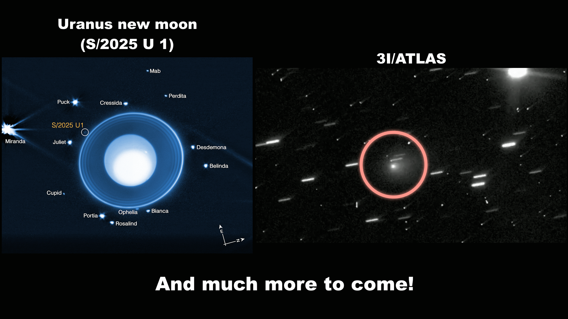 2025 Discoveries