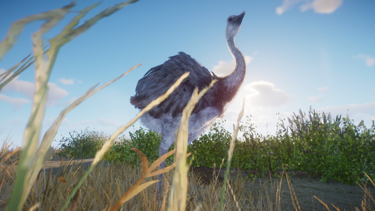 greater rhea diorama preview