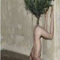 kk