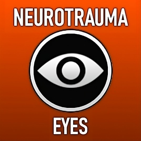 NT Eyes 1.0 No Zoom (Enhanced Immersion Compat) – Barotrauma Mod