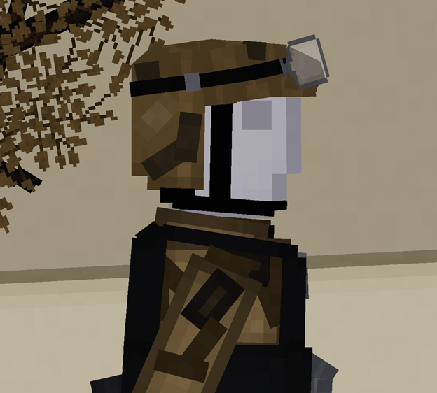 THE EO SOLDIER.