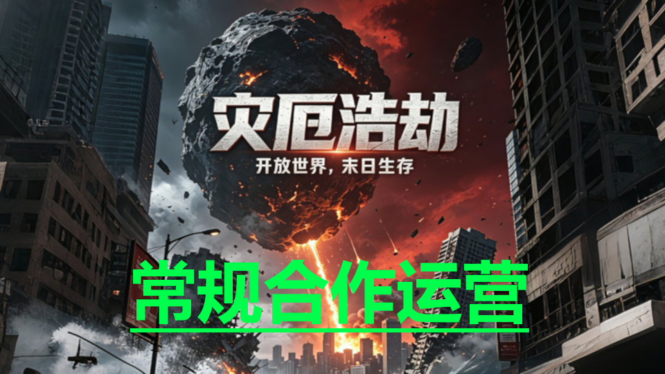 常规合作运营