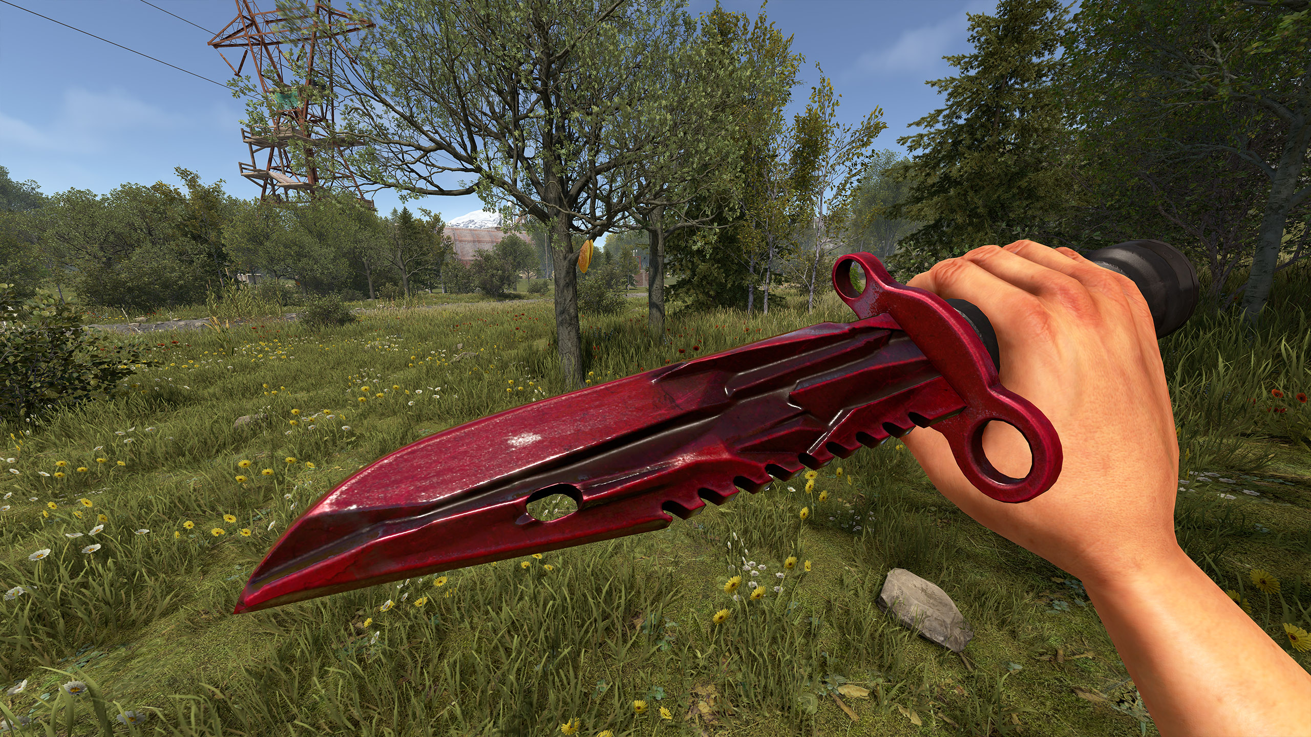 Natural Ruby Knife thumbnail 3