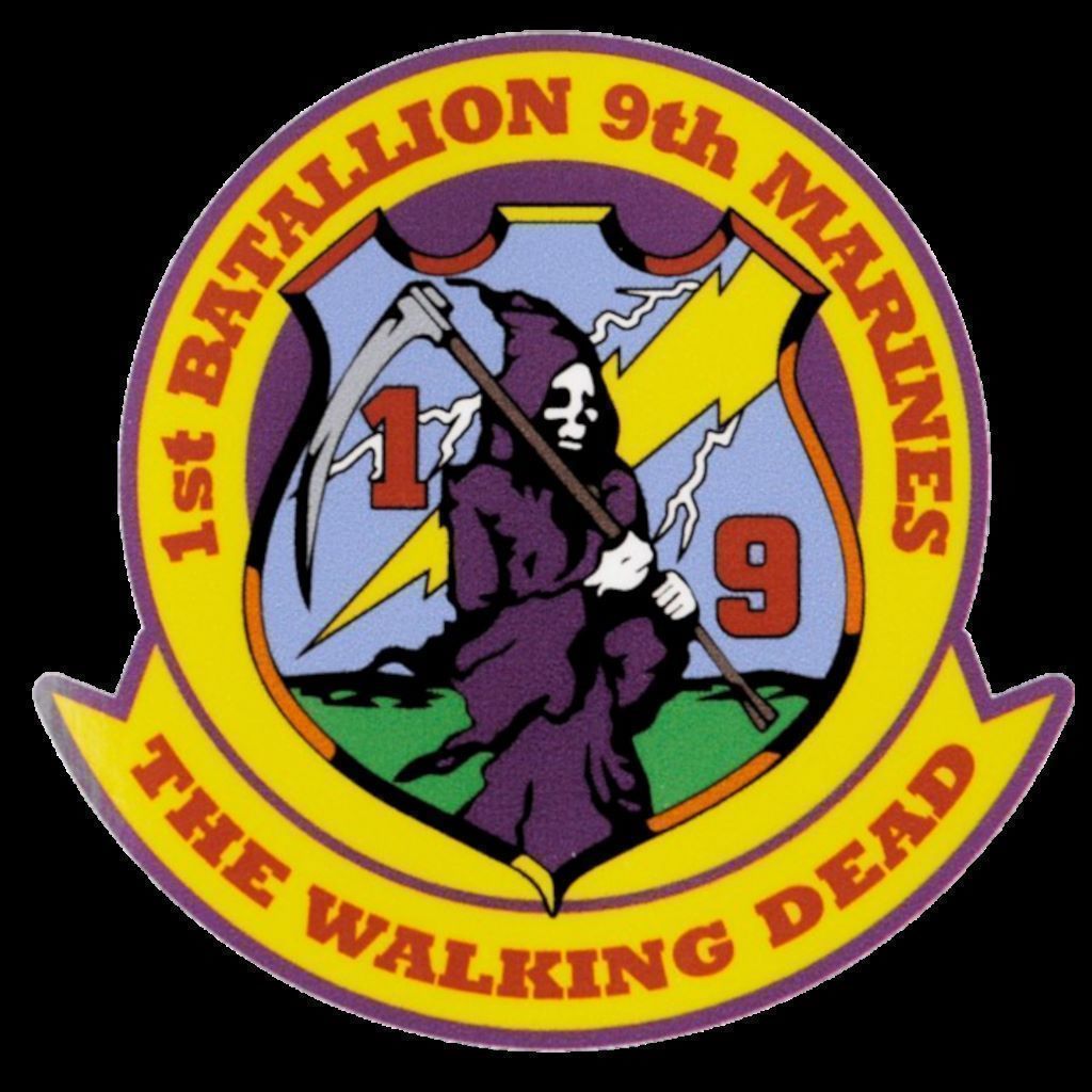 1st Battalion, 9th Marines, 2003 Vehicle Paint Jobs (1B9M)