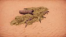 Mud formation