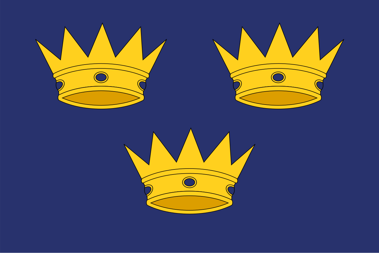 Munster Flag preview