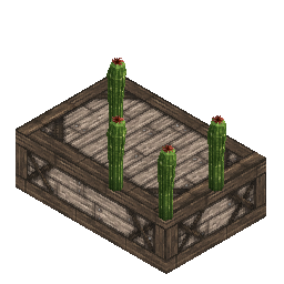 some cactus and wood