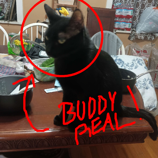 BuddyBast