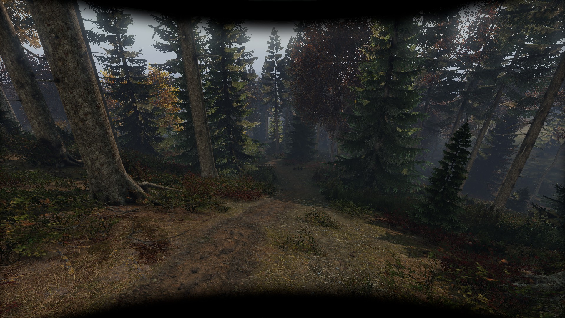 DayZ — игровой процесс