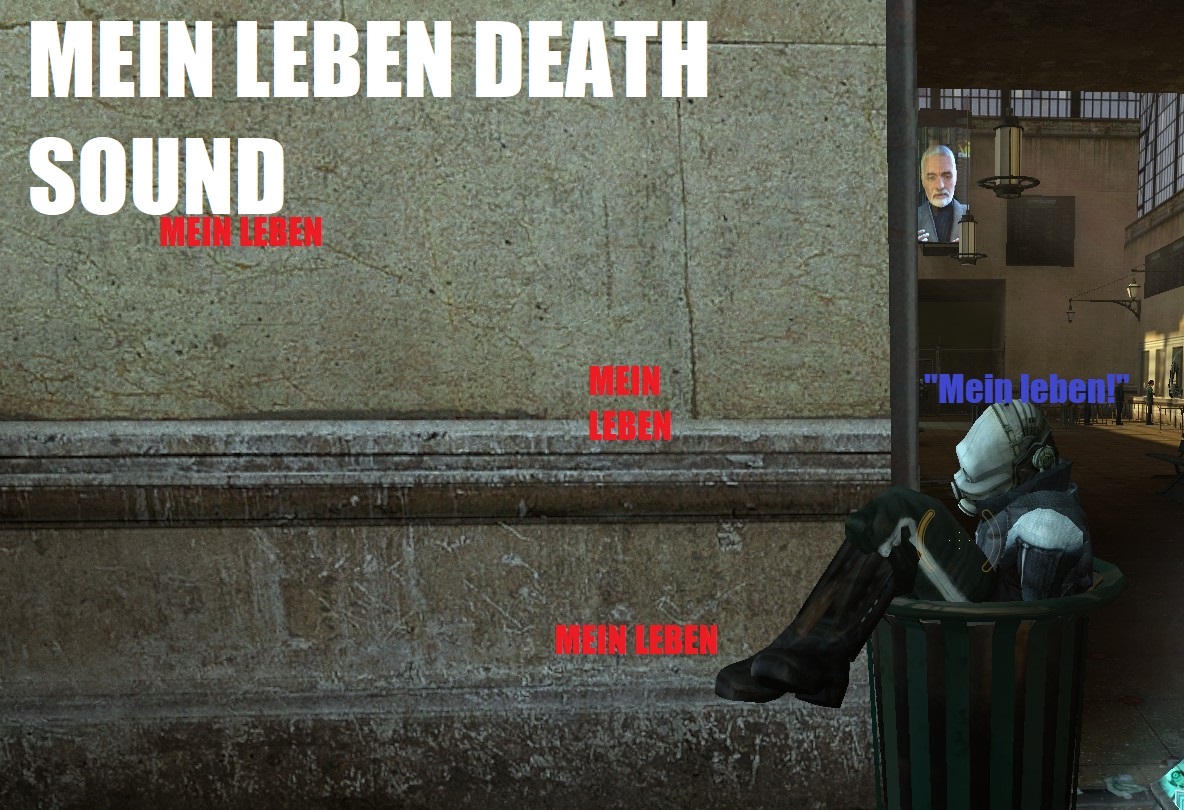 MEIN LEBEN!! Death sound replacer for Combine