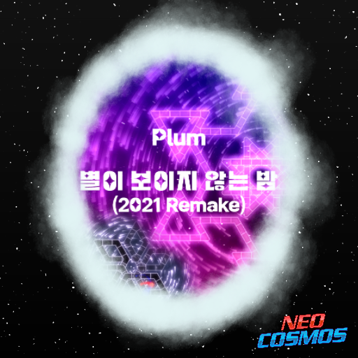 Plum - 별이 보이지 않는 밤(2021 Remake)