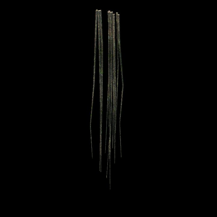 Root_Vines_06
