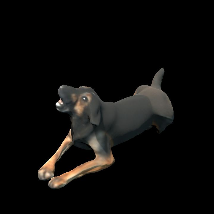 Roxanne dog