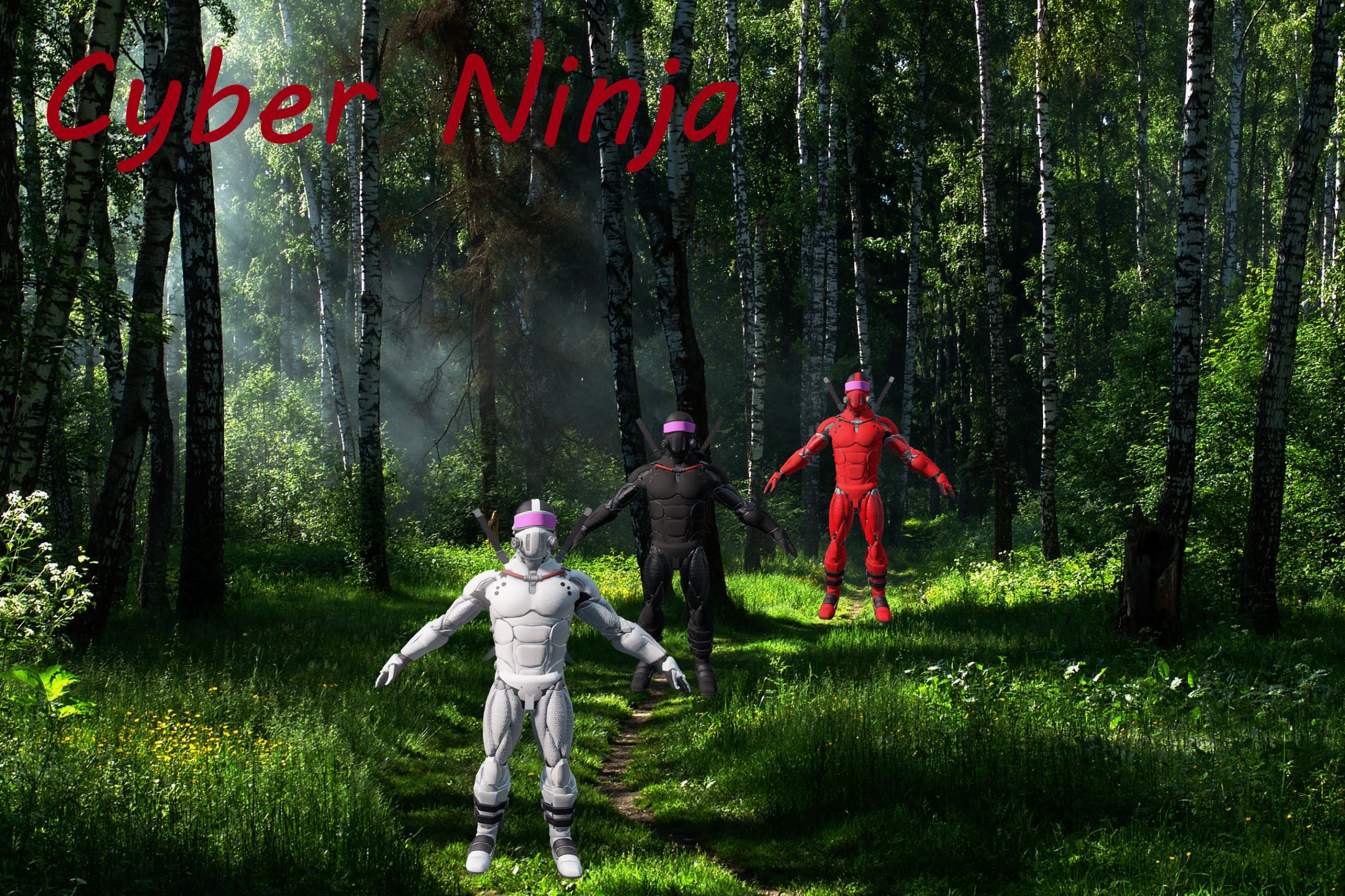 Cyber Ninja