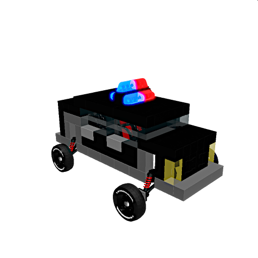 POLICE