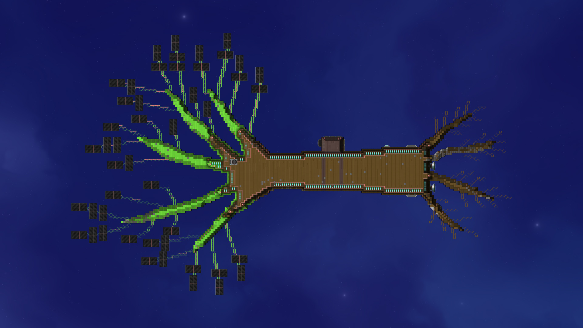 Uva Mosk Tree