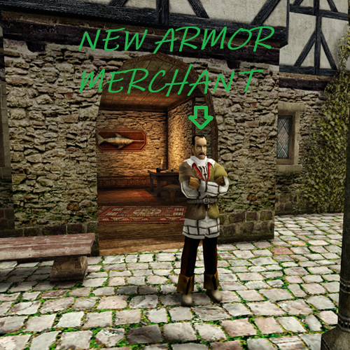 Diego Armor Merchant Mod