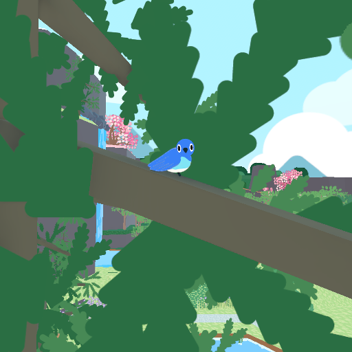 Mountain Bluebird
