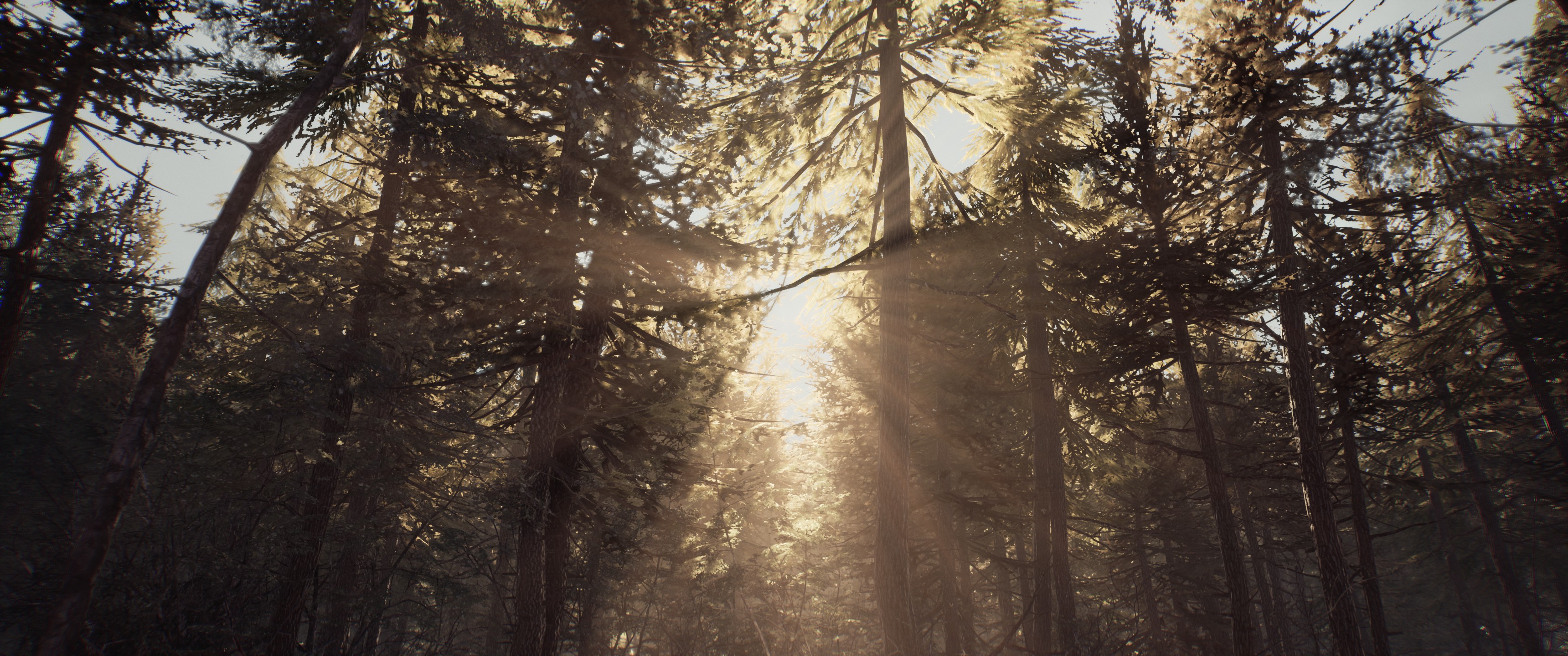 Blair Witch