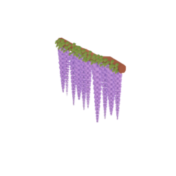 Wisteria Straight
