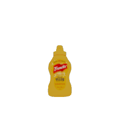 Mustard Bottle