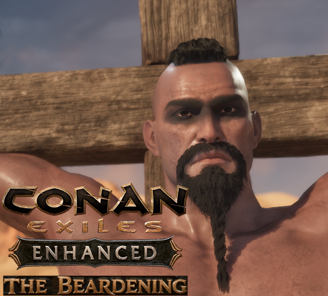 Beards preview