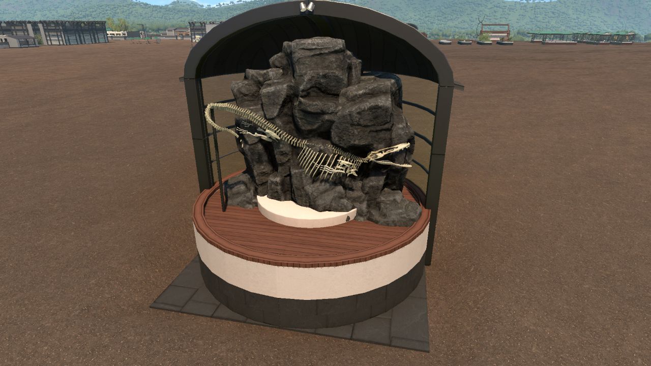 Mosasaur Display
