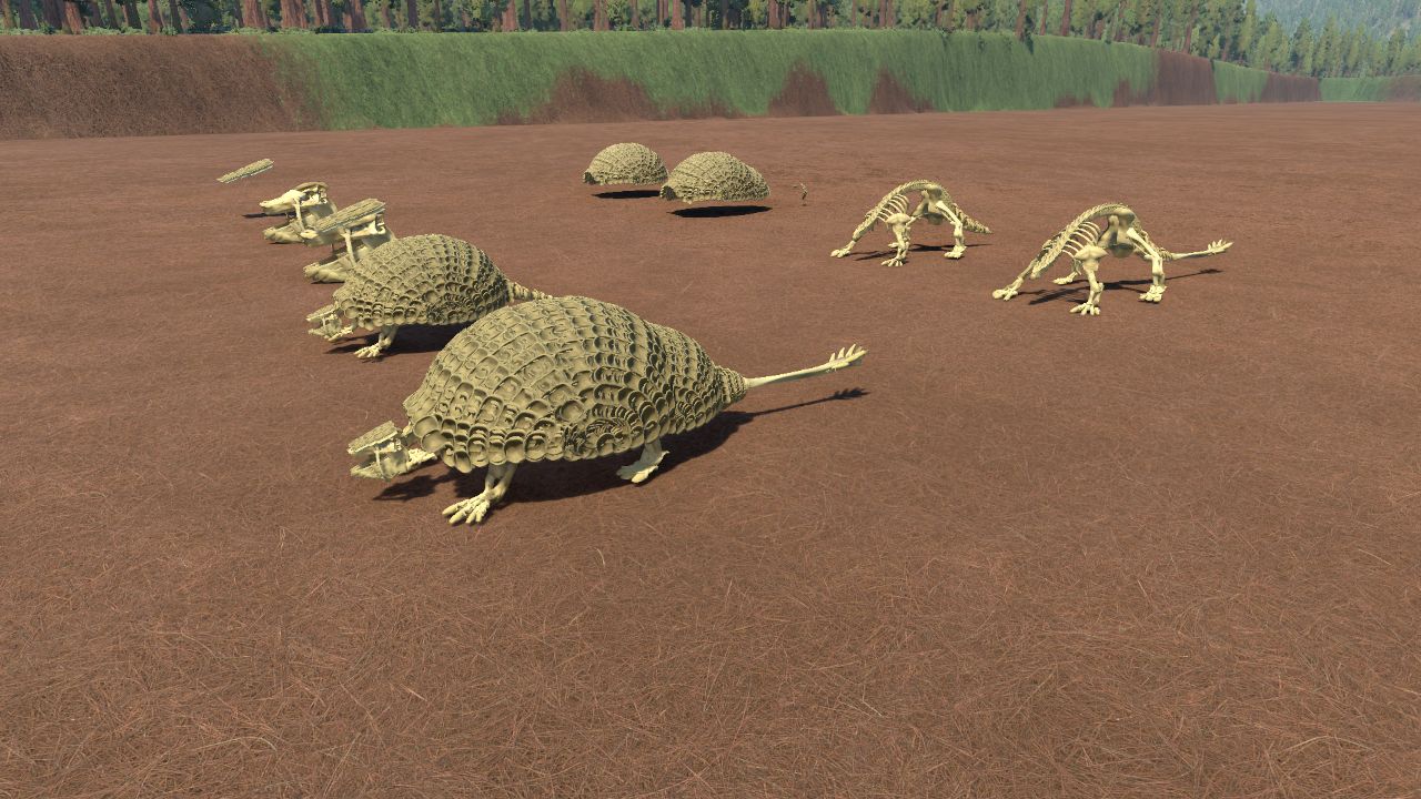 Doedicurus and glyptodon Skeleton