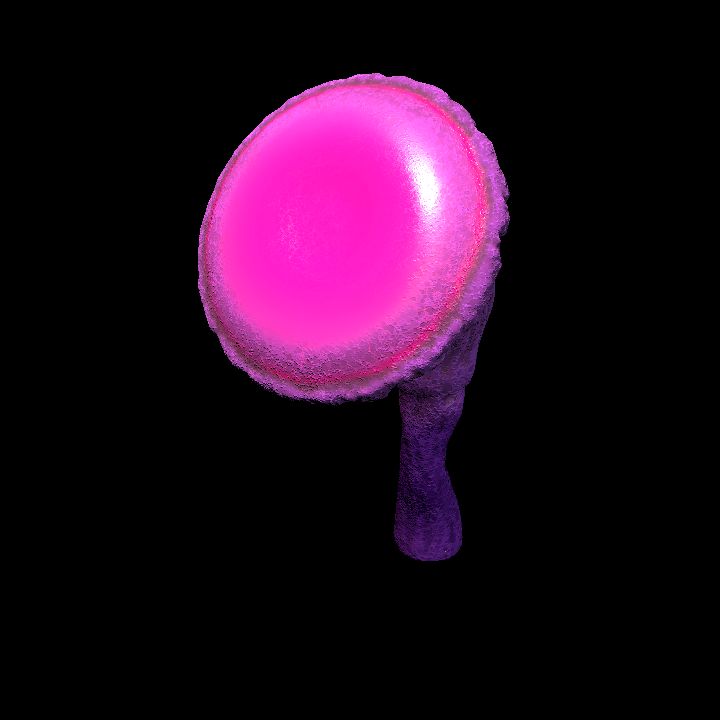 Mushroom_Middle_3_4