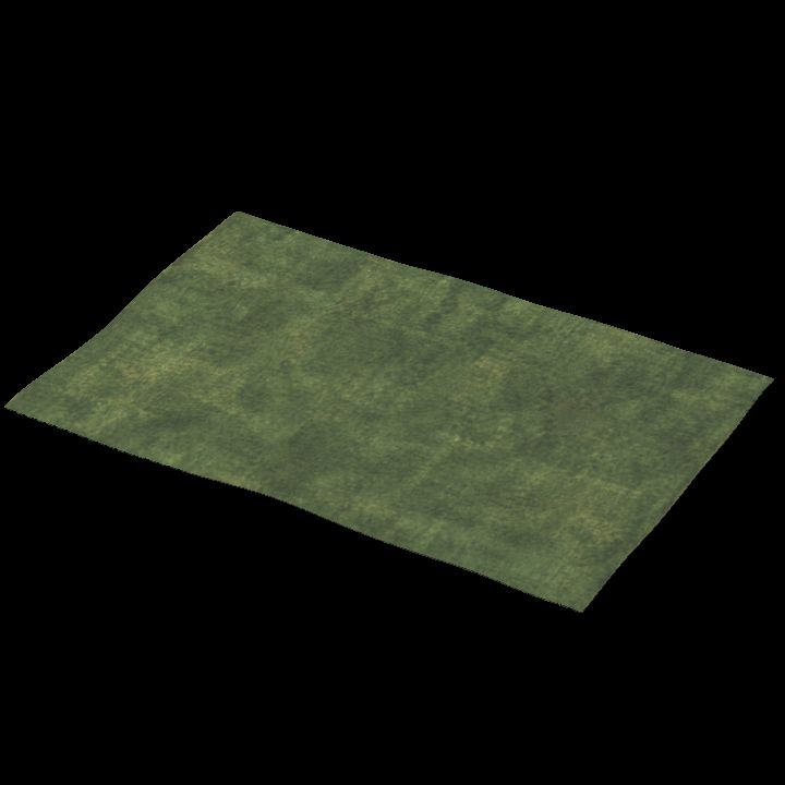 Green Old Rug