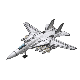 F-14 Tomcat