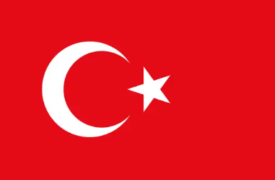 [AI Translation] Turkish
