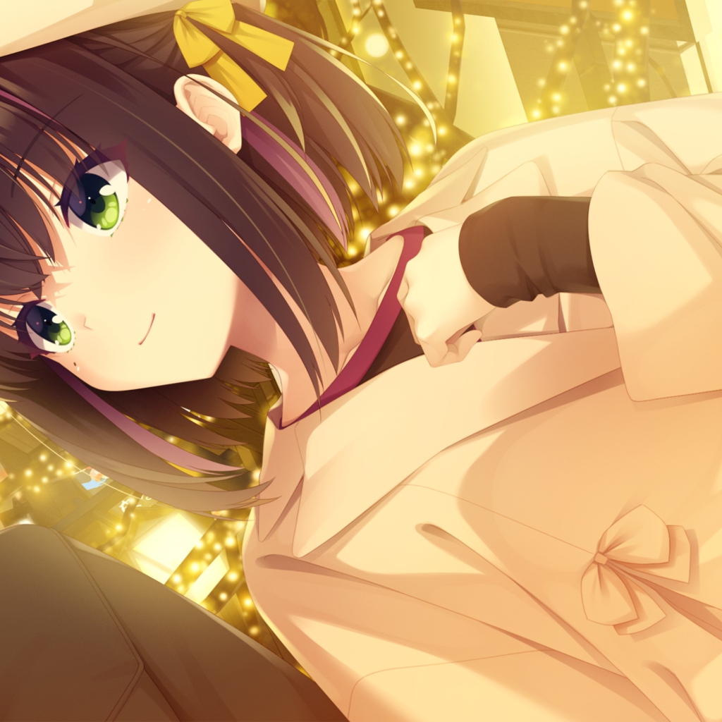 Εργαστήρι Steam::隐杏珠 圣诞の彩灯 ライムライト・レモネードジャム
