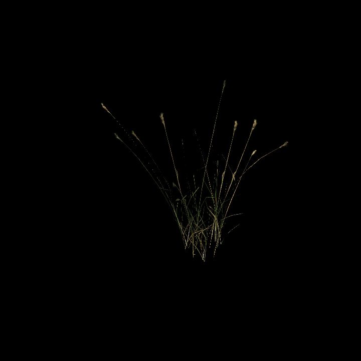 Nature, Grass, Tundra 5