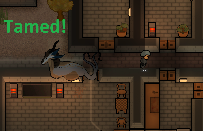 Screenshot 15