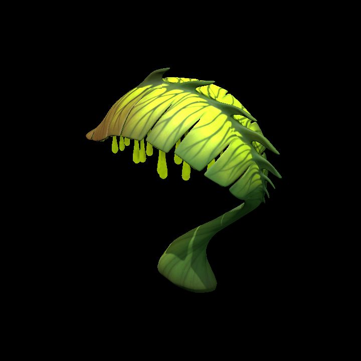 Fey_Plant (10)