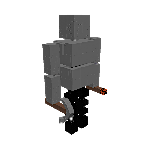 steve2