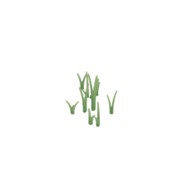Wild Grass Clumps