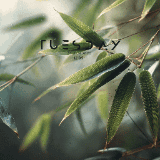 Bamboo leaves preview
