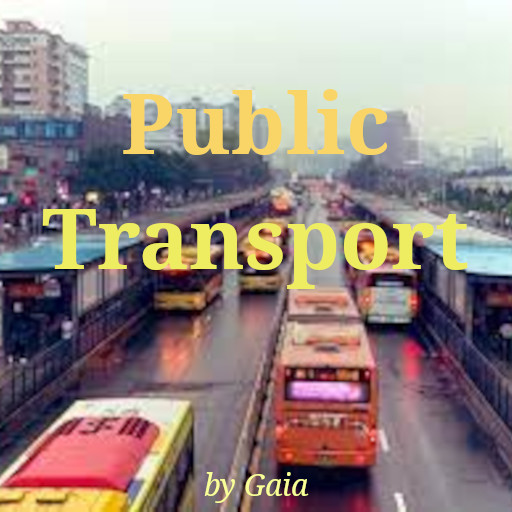 _Public Transport_