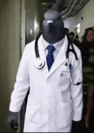 Kangurur