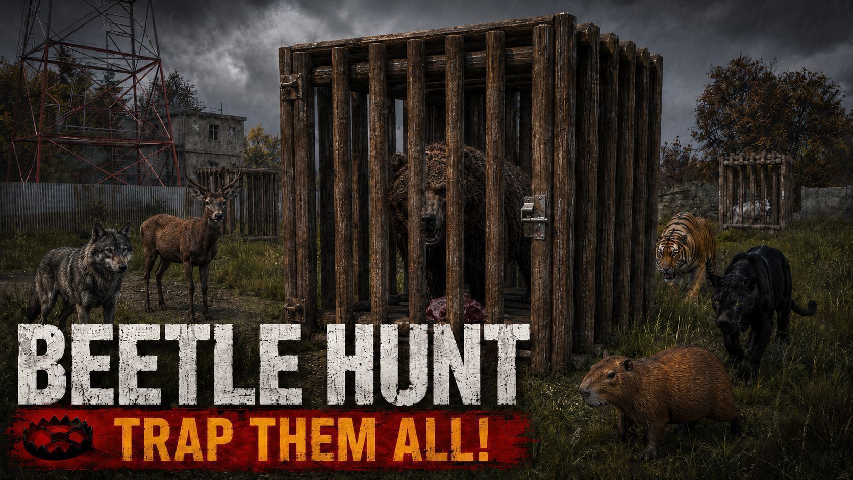 Beetle Hunt