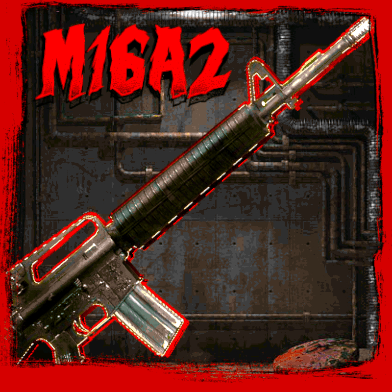 Zombie slayer M16A2