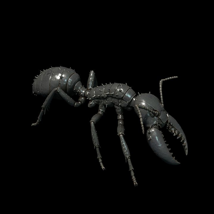 Black Solider Ant