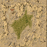 Great Cactus Valley
